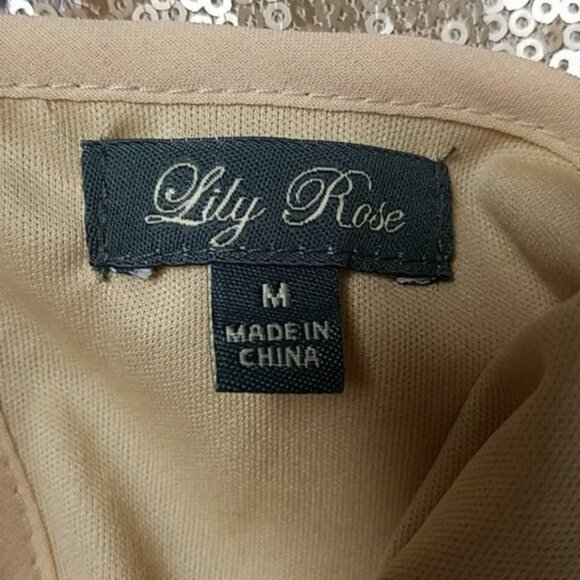 Lily Rose Dress Cocktail Sleeveless Sequin Sheer Top WOMEN'S WOMAN'S Medium - Picture 7 of 8